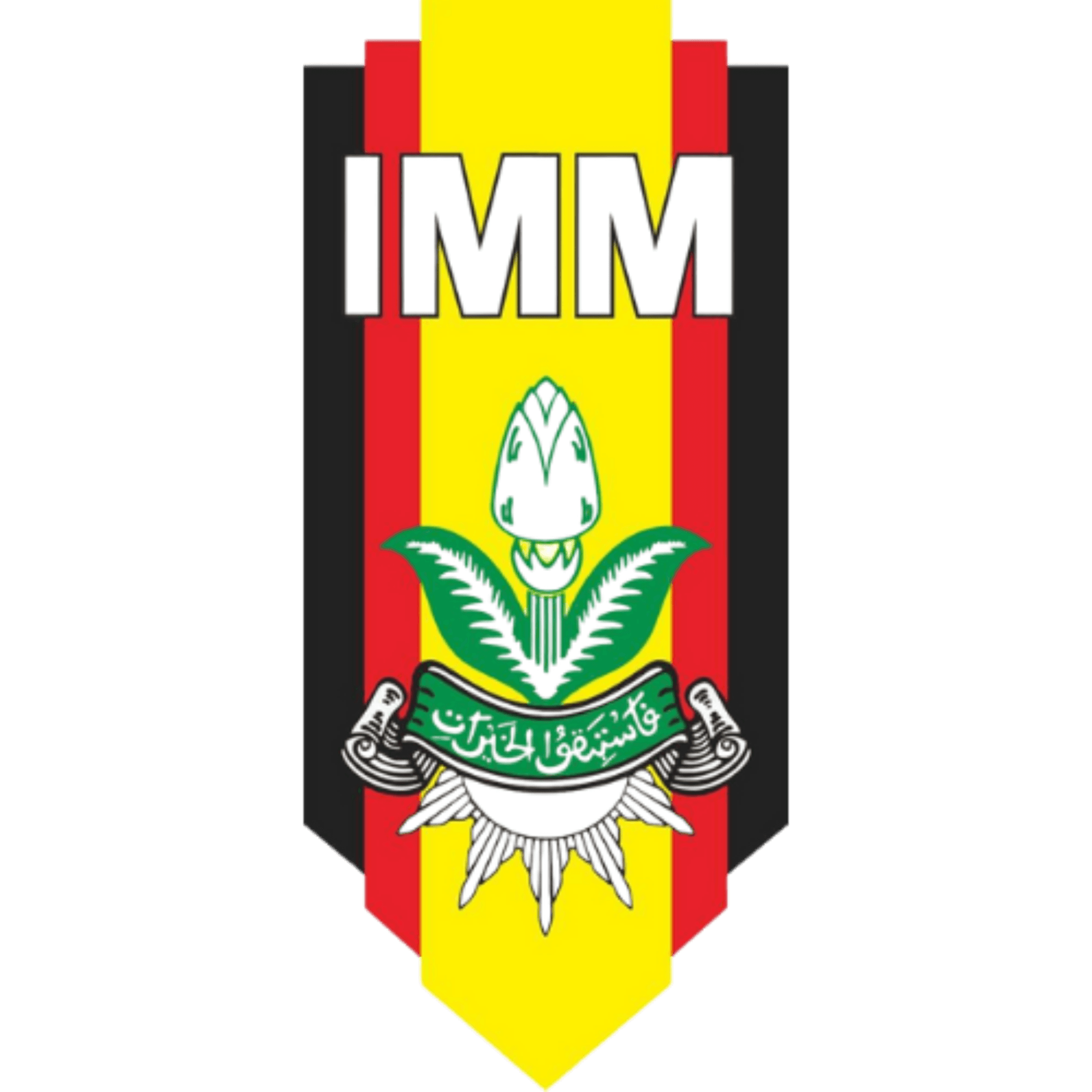 Logo IMM